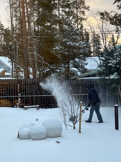 In Finskiy Briz, Russia, a winter scene unfolds with a male individual operating a cordless electric snow blower. The subject, dressed in a dark jacket, light-colored pants, and dark shoes, stands in the mid-ground, facing right, actively propelling snow upwards and left from the device. The ground is covered in undisturbed white snow. To the left foreground, a cluster of four spherical objects, partially covered in snow, is visible. A thin, bare sapling supported by two wooden stakes stands in the center-right foreground. A dark brown vertical picket fence spans horizontally behind the individual, with a thin wire or cable running across it. Beyond the fence, a dense forest of snow-covered coniferous trees dominates the background. Houses with snow-dusted roofs, including one with a light blue roof on the far left and another with a dark green roof and large windows in the center-right, are partially visible through the trees. The sky in the upper background displays soft hues of light blue and yellow, characteristic of dawn or dusk. Overhead power lines are faintly discernible against the sky and trees.