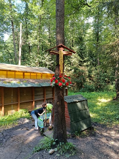 In Staryi Pokrov, Russia, within a wooded area, a Christian cross with a depiction of Jesus is mounted on a tree, adorned with red artificial flowers. Two women are present near a wooden structure with a yellow translucent roof and a green tiled roof. One woman, wearing a black jacket and blue jeans, is bent over, reaching for a large plastic water bottle. The other woman, in a light green shirt, is also leaning down, assisting with the bottles, which are arranged on a wooden stand. The ground is muddy and uneven, with scattered leaves and vegetation. The surrounding environment is dense with trees and foliage, suggesting a natural or semi-natural setting.