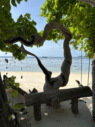 The image depicts a serene beach scene in Felidhoo, Maldives, with the foreground dominated by the twisted trunk of a tree and lush green foliage. The tree's weathered wood and gnarled branches create an artistic, sculptural element within the frame. Sunlight filters through the leaves, casting dappled shadows. Beyond the tree, a calm, turquoise ocean stretches towards the horizon, meeting a light-colored sandy beach. In the distance, a small boat can be seen on the water, and faint outlines of what might be islands or larger vessels are visible further out. The beach is dotted with what appear to be small, decorative objects made of shells or stones, strung on lines that are partially visible.
The scene suggests a peaceful, tranquil atmosphere, likely during daylight hours given the bright sunlight and clear sky. The presence of the boat implies some human activity, but the overall mood is one of quiet relaxation and natural beauty. There is no visible text in the image. The composition, with the foreground organic elements framing the ocean view, highlights the natural beauty of the tropical location.
