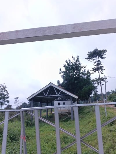 The image displays an outdoor scene in São Félix do Xingu, Brazil. In the foreground, a light-colored metal railing, composed of horizontal and diagonal bars, partially obstructs the lower portion of the frame. A red ribbon or tie is affixed to a vertical bar on the left side of this railing.
In the midground, an open-sided structure with a peaked roof is centrally positioned on a grassy, undulating terrain. The roof exhibits a reddish-brown ridge and visible internal truss work. Directly behind this structure, a smaller, white, single-story building with two distinct rectangular windows is partially visible. The ground consists of green grass and assorted foliage.
The background is dominated by trees under an overcast sky. A large, dense conifer-like tree stands behind the main structure. To the right, a taller, slender tree is visible near a utility pole with overhead wires. Additional trees are present on the far left. No individuals are visible, and no specific actions or interactions are occurring.