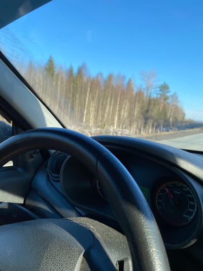 The image shows the view from inside a car driving on a road near Kvarsa, Russia. The steering wheel and dashboard are visible in the foreground, with the speedometer needle indicating a speed of approximately 20 km/h. Through the windshield, a clear blue sky is seen above a roadside forest of leafless trees. The road itself is visible as a strip along the horizon. The photograph is taken during daylight, with bright sunlight illuminating the interior and exterior scenes.