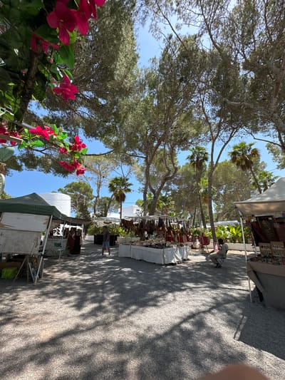 The image depicts an outdoor market scene under tall trees with dappled sunlight casting shadows on a gravel ground. In the foreground left, a stall with a green canopy displays various items, including a white board and green boxes. To the right of this stall, several people are browsing at another stall filled with handbags and other merchandise. Further into the market, more stalls are visible, with a man sitting on a chair near one of them. Palm trees and other lush vegetation are interspersed with the stalls and trees, suggesting a warm, sunny climate. The overall impression is of a vibrant marketplace in a Mediterranean setting, likely Es Canar, Spain, known for its Hippy Market.