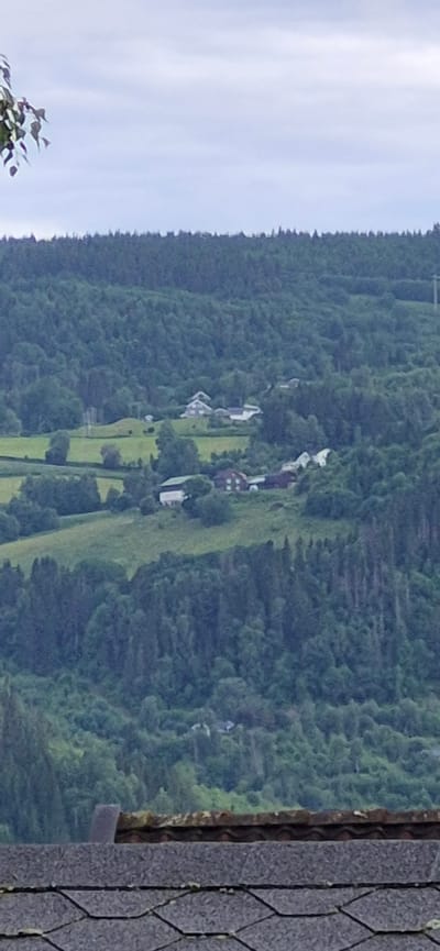 The image depicts a scenic view of a lush, green mountainside densely covered in trees. Several houses, some with red roofs, are nestled amongst the trees on the lower slopes, suggesting a rural or semi-rural setting. A clear sky with some cloud cover is visible to the left of the image, while the right side shows a portion of a gray, shingled roof, possibly of a building situated closer to the viewer. The overall impression is one of a tranquil, natural landscape, likely in a mountainous region, with signs of human habitation integrated into the environment. The lighting suggests it might be daytime, possibly late afternoon or early morning, given the softness of the light. The scene evokes a sense of peace and remoteness. There is no visible text in the image.