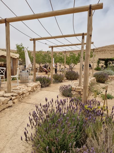 This photograph captures a desert landscape with a wooden trellis structure extending across the left side of the frame. In the midground, lavender bushes flank a path leading toward a shaded area with tables and chairs. People are seated at the tables, suggesting a gathering or outdoor dining setting. The path is bordered by a low stone wall. A wine barrel serves as a table under a white umbrella. In the background, a desert landscape stretches to the horizon. The photo was likely taken in Mizpe Ramon, Israel, as indicated by the arid environment.