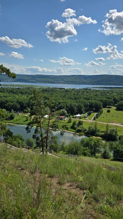 An elevated, wide shot captures a scenic view of the Volga River in Mastryukovo, Russia. The foreground features a grassy slope with scattered weeds and a wooden railing alongside a set of stairs leading downwards. A cluster of pine trees stands prominently on the slope, with their branches reaching towards the sky.
Below the slope, the calm waters of a river bend reflect the bright blue sky dotted with fluffy white clouds. Along the riverbank, dense green foliage forms a lush forest that stretches towards the horizon. Several small buildings, including houses and white tents, are visible nestled amongst the trees. A road winds through the greenery, and some cars are parked near the tents.
In the distance, the broad expanse of the Volga River flows, with rolling, forested hills forming the backdrop. The horizon is hazy, and the landscape is bathed in bright sunlight, indicating a clear day. No people are visible in the image.