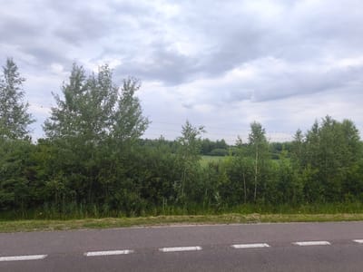 This is a wide, eye-level, medium shot of a tree line bordering a paved road under a cloudy sky. The road, in the foreground, has white dashed lines painted across it. Behind the road is a narrow strip of grass and then a dense line of trees and shrubs. The trees are predominantly deciduous, with light green foliage. Some of the trees are taller, with thin, white trunks, characteristic of birch trees. In the background, the terrain slopes upwards into a more distant, densely wooded area, possibly a forest. The sky is filled with thick, grey clouds, suggesting an overcast day. There are no people or animals visible in the image, and no specific actions or interactions are depicted. The scene appears to be a rural or semi-rural setting, likely on the outskirts of Brzeźno, Poland, given the provided context.