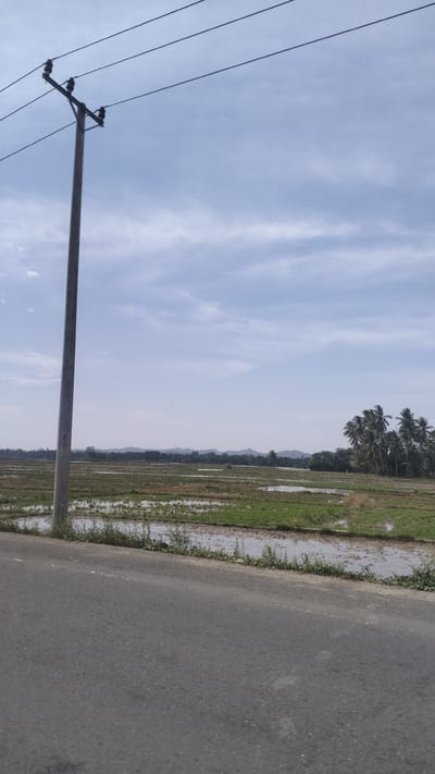 This is a vertical, medium-angle, eye-level shot of a rural landscape in Kruengseupeng, Indonesia. In the foreground, a gray asphalt road occupies the bottom third of the frame, curving slightly from left to right. To the left of the road, a tall, gray utility pole stands prominently, supporting multiple black electrical wires that stretch across the sky. Beyond the road and the utility pole, a vast expanse of flooded rice fields stretches into the mid-ground. The fields are a patchwork of green vegetation and reflective water. In the background, a line of lush green hills and a cluster of tall, dark green palm trees dominate the horizon. The sky above is a pale blue, with scattered thin, white clouds. No people are visible in the image.