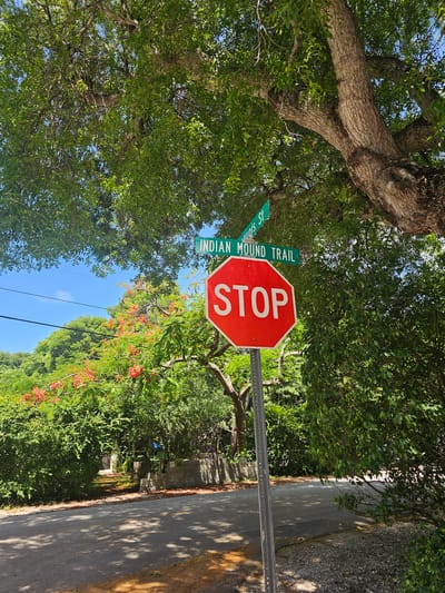 In Islamorada, Florida, USA, a red octagonal stop sign stands prominently at the intersection of Indian Mound Trail and an unnamed street, indicated by a green street sign. The stop sign is mounted on a metal pole. Above the stop sign, two green street signs are visible: one reading "INDIAN MOUND TRAIL" and another, perpendicular to it, reading "UIS ST". The scene is bathed in sunlight, with large trees overhead casting dappled shadows on the asphalt road. Lush green foliage and blooming trees with red flowers surround the intersection. In the background, a house is partially visible, nestled amongst the dense vegetation, with a stone wall and some outdoor furniture suggesting a residential area. The sky is clear and blue.