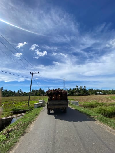 The image depicts a rural scene in Payarangkuluh, Indonesia, on a bright, sunny day with a clear blue sky dotted with wispy white clouds. A truck loaded with palm oil fruit is driving down an asphalt road. The truck is positioned in the center of the frame, moving away from the viewer. On either side of the road are fields; one appears to be a harvested rice paddy, while the other is a lush green field. Palm trees line the horizon, interspersed with a few houses. Electrical poles and wires run along the left side of the road, and a small concrete bridge spans a narrow waterway on the left. In the distance, a tall electrical tower is visible. The overall atmosphere is serene and captures a typical agricultural landscape.