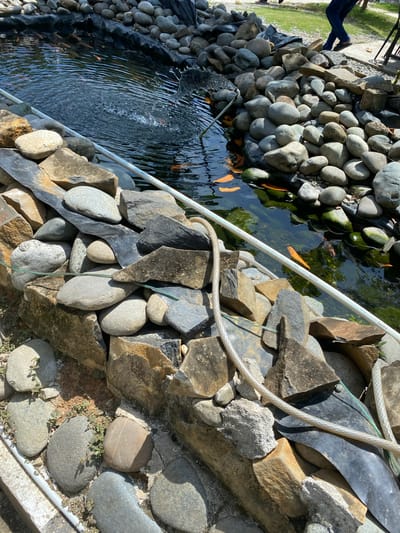 The image depicts an outdoor pond, likely a koi pond given the presence of orange fish visible in the water. The pond is surrounded by a naturalistic rock embankment, featuring a variety of stones, from small pebbles to larger, irregular shapes. Black liner material is visible beneath the rocks in some areas, suggesting a constructed pond. A white pipe runs along the edge of the pond, likely part of a water filtration or circulation system, and a clear, ribbed hose is also present, possibly related to water flow or aeration. A fountain is actively creating a spray of water within the pond. The water itself is clear, allowing visibility of the fish and some submerged greenery. In the background, a grassy area and glimpses of people walking suggest a park or garden setting. The overall impression is of a well-maintained water feature in a natural environment. The location is identified as Aluepiet, Indonesia.