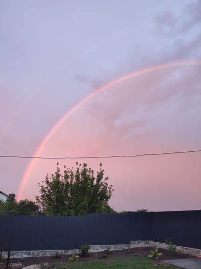 The image depicts a suburban backyard scene in Velykyi Zhytyn, Ukraine, at twilight. A prominent rainbow arcs across the soft pink and pale blue sky, partially obscured by scattered clouds. In the mid-ground, a dense green tree stands to the right of the frame, its branches reaching upwards. A dark, corrugated metal fence runs horizontally across the lower half of the image, separating the yard from the surrounding area. The yard itself contains a garden bed with low-lying plants and small decorative lights. A glimpse of a house roof with a chimney is visible behind the fence on the far left. A thin black wire stretches horizontally across the upper mid-ground. No people are present in the image.