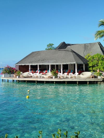 A thatched-roof building with white columns and a wooden deck sits on stilts over clear blue water. The deck is furnished with white chairs and tables, as well as a large circular white sofa. The building has a dark wood exterior and is surrounded by lush green trees and vibrant pink flowers in planters. Two yellow buoys float in the water. The sky is a clear, bright blue. This scene is located in Gulhi Falhu, Maldives.