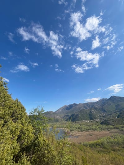 The image depicts a landscape with a blue sky featuring scattered white clouds. On the right side, a mountain range is visible with greenery and a small village nestled against the mountainside. Below the mountains, there is a marshy area with brown vegetation. In the foreground, green foliage of shrubs and trees is present, partly obscuring the view. The location is likely Godinje, Montenegro, as inferred from the prompt.