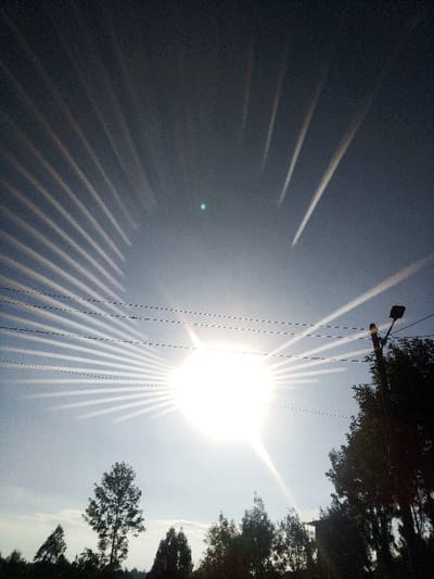 The image presents an outdoor scene captured in Nachu ward, Kenya, under bright, direct sunlight. The dominant feature is the sun, positioned centrally, exhibiting intense glare and prominent sunburst effects that radiate across the sky. The sky transitions from a lighter blue at the horizon to a darker shade overhead, featuring a distinct green-blue lens flare in the upper left quadrant. Multiple dark, thin utility lines are visible stretched horizontally across the mid-ground, slightly above the sun's apparent position. Along the bottom of the frame, a dense canopy of dark green trees and foliage is silhouetted against the bright background. On the far right, a dark utility pole with an attached street light fixture extends upwards from behind the tree line. No individuals, animals, or discernible actions are present within the frame.
