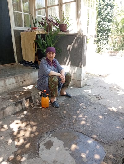 A middle-aged woman with a purple headscarf sits on concrete steps outside a building in Hisor, Tajikistan. She wears a blue patterned dress and green patterned trousers. To her right sits an orange spray bottle. She is looking forward, with her hands clasped in her lap. She appears calm. The setting is outdoors, with a window and plants visible behind her, suggesting a residential area. Sunlight casts dappled shadows on the ground, indicating it is daytime. The weather appears to be warm and sunny. The steps are made of concrete and brick. The ground is also concrete, with some areas wet and reflecting light. The building's exterior wall is textured. Lush green foliage is visible to the right of the frame.