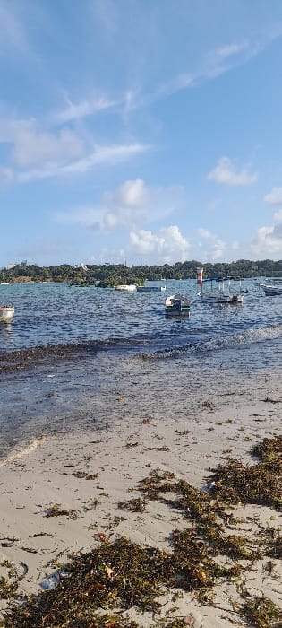 The image depicts a coastal scene within Shimo La Tewa ward, Kenya, captured on a clear day under a sky with scattered white clouds. The foreground features a light brown sandy beach heavily covered with dark green and brown seaweed and organic debris, particularly dense along the visible waterline where small waves are present. The midground shows a body of calm, blue-green water containing multiple moored or anchored boats of various sizes, including at least one white dinghy with an outboard motor, and several other small craft. A prominent red and white striped navigational beacon is visible to the right in the water. The background consists of a distant landmass densely covered with green vegetation, with a few light-colored structures partially visible among the trees. No individuals or human activity are present in the frame.