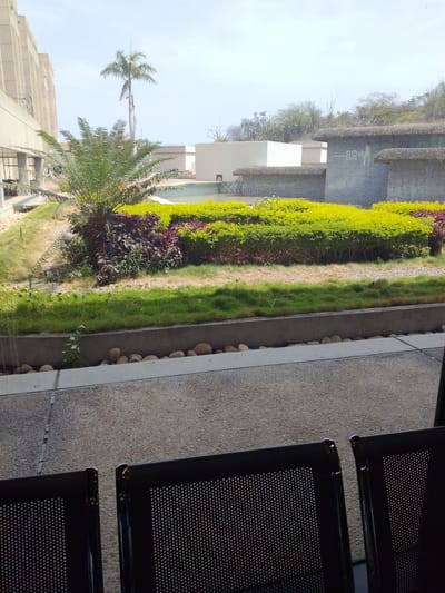 The image shows an outdoor landscaped area, likely a garden or courtyard, viewed from indoors through a window. In the foreground are three black mesh-backed chairs. Beyond the chairs, a paved walkway is visible, followed by a low concrete retaining wall lined with smooth, round stones.

The landscaped area features a mix of vegetation: green grass, flowering plants, shrubs with vibrant green and red foliage, and a small palm tree. In the background are modern, low-rise buildings with distinct architectural features, including some with what appears to be thatched roofing.

A taller palm tree is visible in the distance, suggesting a tropical or subtropical climate. Based on the distinct architectural style of the buildings and the vegetation, this is located within Puerto La Cruz, Venezuela. "ROA ESTATE" is visible on one of the building walls. The sky is bright and mostly clear.