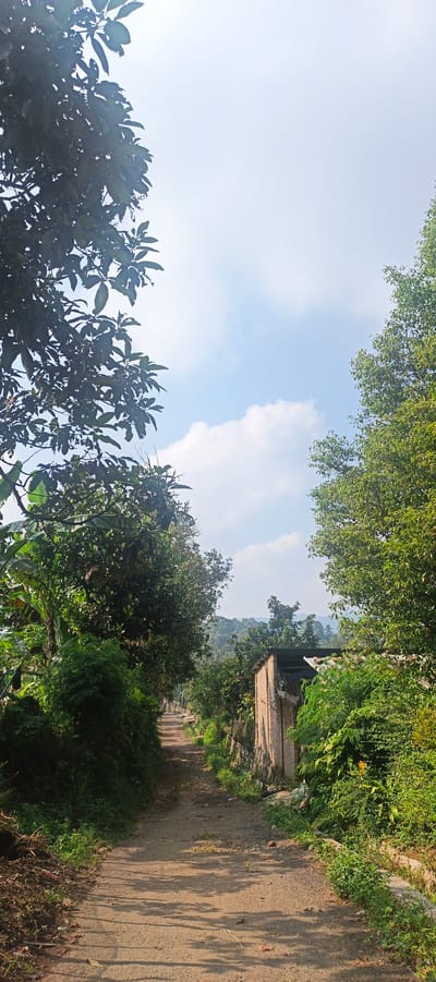 The image depicts a dirt road in Gisting Atas, Indonesia, winding through lush vegetation and flanked by trees. On the right side of the road, a small, rustic building constructed of brick and wood is visible, partially obscured by dense greenery. The sky above is a pale blue with scattered white clouds, and the sun casts long shadows across the road, indicating it is likely late afternoon. The surrounding landscape suggests a rural or semi-rural setting, with hills visible in the distance. No people are present in the frame.