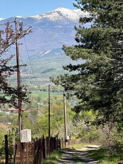 A tilted, eye-level, medium shot shows a mountain, forest, village, dirt road, and utility poles in Boboshevo, Bulgaria. A snow-covered mountain is in the left frame with green trees and a village partially obscured by more trees in the center. A dirt road follows the right of the frame and disappears from sight. Four power poles are in the image, two in the center, and one on the right and left frame. The image is brightly lit.