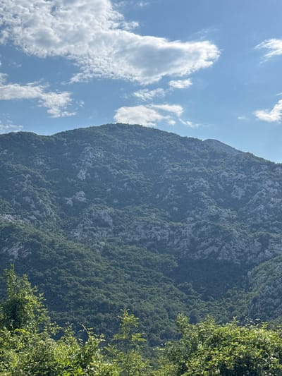 A sunlit, vertical shot captures the lush, green slopes of a densely wooded mountain range. The mountainside is textured with patches of grey rock interspersed with the dark green foliage. Above, a bright blue sky is dotted with fluffy white clouds. In the foreground, the lower edge of the image is framed by vibrant green trees and foliage, with branches reaching upwards. The scene is devoid of any people or man-made structures, depicting a natural landscape in the vicinity of Dragalj, Montenegro.