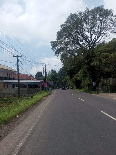 The image depicts a roadside scene in Niz Lakuk, India, on an overcast daytime. A two-lane asphalt road extends into the distance, marked with dashed white and solid yellow lines. Vehicles, including a dark car and several motorcycles, are present on the road in the mid-ground, traveling away from the viewer.

On the left side of the road, a narrow dirt and grass shoulder borders a low concrete wall. Beyond this wall are multi-story buildings with light-colored facades and red-tiled roofs, appearing to be residences or small commercial establishments. Numerous utility poles with a dense network of overhead wires run along this side. Various signs, including a pink banner, are visible on buildings closer to the road.

The right side of the road features a wide dirt and grass shoulder leading to a dense, hilly forested area dominated by a large, mature tree with extensive foliage in the mid-ground. A stone or concrete wall is partially visible at the base of the forested incline. The sky overhead is largely covered by white and gray clouds. No individual people are clearly identifiable, though the presence of vehicles indicates human activity.