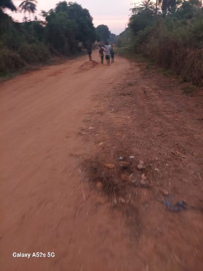The image depicts a dirt road in Umudioka, Nigeria, at what appears to be dawn or dusk. The unpaved road, characterized by reddish-brown soil, extends from the immediate foreground into the distance, curving slightly to the right. In the middle ground, four individuals are observed walking away from the camera along the center of the road. Their forms are somewhat indistinct, but they appear to be male, dressed in casual attire. One individual near the center exhibits a raised right arm. The road surface in the foreground shows scattered small stones and dark debris. Dense green vegetation, including trees and overgrown bushes, borders both sides of the road. Taller trees, including identifiable palm trees, are visible against a pale, gradient sky featuring light blue and faint orange hues on the horizon. Overhead power lines or communication poles are discernible in the far background above the treeline on the right. A digital watermark "Galaxy A52s 5G" is present in the bottom left corner of the image.