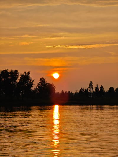 This image depicts a sunset over a body of water, with a silhouetted treeline on the horizon. The sun, a bright orange orb, is partially obscured by wispy clouds, casting a warm, golden light across the scene. The sky is a gradient of orange and yellow, with streaks of darker clouds adding texture. The water reflects the vibrant colors of the sunset, with a shimmering path of light extending from the sun towards the viewer. The treeline, composed of various deciduous and coniferous trees, forms a dark, irregular silhouette against the colorful sky. There are no visible people, animals, or structures in the image. The environment appears to be a natural, undeveloped landscape. The location is identified as Maloe Nakhval'skoe, Russia.