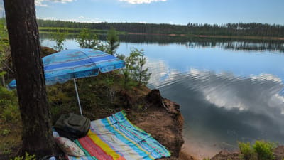 The image depicts a serene lakeside picnic scene, oriented upside down. In the foreground, a thick tree trunk is prominently featured on the right. Beyond it, a blue and white striped beach umbrella, adorned with palm tree silhouettes, is set up. A colorful striped beach blanket is laid out on the sandy bank of the lake, to the left of the umbrella. A dark green backpack rests on the blanket, near a decorative pillow. The lake itself occupies the majority of the frame, its surface mirroring the sky and the treeline on the opposite shore. Dark clouds are reflected in the water, suggesting a dynamic sky. The overall atmosphere is one of peaceful relaxation. The time of day appears to be daytime, with bright reflections indicating sunlight. The location is likely a natural setting, given the lake, trees, and sandy bank. No people are visible, and no text is discernable.