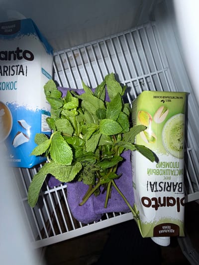 The image shows a close-up, top-down view inside a refrigerator. On the left is a white carton with blue and black lettering, partially obscured. The visible text includes "nto," "ARISTA," and "КОКОС." To the right of this carton is a bunch of fresh mint leaves, wrapped in a purple cloth. Next to the mint, on the right, is a green and white carton with text in Russian. The visible text includes "planto" and "BARISTA," and appears to advertise pistachio flavored milk. The mint is resting on a shelf in the refrigerator, which has a white wire grid pattern. The lighting is dim, consistent with the interior of a refrigerator. The background consists of more refrigerator shelves and the interior walls. There are no people or animals visible in the image, and no indication of the specific location within Veshki, Russia, beyond it being a domestic refrigerator.
