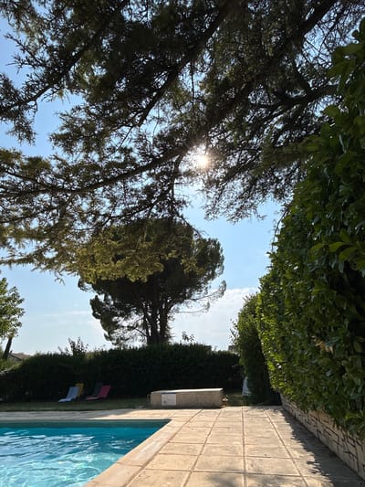 The image depicts a sun-drenched outdoor scene at a private residence in Saint-Marcel-lès-Sauzet, France. A bright blue swimming pool occupies the lower left portion of the frame, with a light-colored tiled patio extending alongside it. Beyond the patio, a neatly trimmed hedge forms a verdant border, with a stone wall visible on the right edge of the image. In the background, several lounge chairs are arranged on a patch of grass in front of another dense hedge. A large, mature tree with dark green foliage dominates the center of the scene, silhouetted against a clear blue sky dotted with a few wispy clouds. The branches of a different, more leafy tree, hang from the upper portion of the image, with sunlight filtering through them. The overall impression is one of a tranquil, well-maintained garden setting, likely during a warm, sunny day.