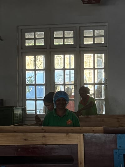 The image depicts an indoor scene in Ramboda, Sri Lanka, featuring three women within what appears to be a processing facility. A large, white-framed window unit with multiple panes, divided into three vertical sections, dominates the background, admitting significant natural light.
In the foreground, a woman with dark skin, wearing a green collared shirt with an emblem on the right chest and a light blue disposable hairnet, smiles faintly while looking directly forward. Behind her and a prominent wooden structure that spans the lower half of the frame, two additional women are visible. The wooden structure consists of horizontal slats, consistent with drying racks or processing tables.
To the immediate left of the foreground woman, partially obscured by the wooden structure, another woman with dark hair is seen, appearing to be engaged in an activity over the wooden structure. To the right, further back near the window, a third woman in a green shirt is observed bending over the wooden structure, also engaged in a task. A dark green container or bin is partially visible on the far left of the frame. A rectangular red sign is affixed to the upper wall, above the rightmost section of the window frame. The overall environment is brightly lit from behind, suggesting an active workspace.