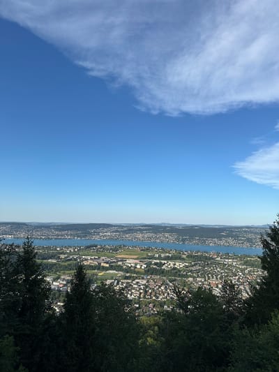 This image is a wide-angle aerial view overlooking a city and a lake, taken from a forested hillside. The sky is a clear, bright blue with scattered wisps of white clouds. In the foreground, dark green evergreen trees frame the bottom of the image.
Below the trees, a sprawling city with numerous buildings of varying sizes and colors is visible. The city extends towards a large, blue body of water, which appears to be a lake. Sailboats are scattered across the surface of the lake. Beyond the lake, rolling hills and mountains are visible in the distance, some of them covered in dark green forests and others appearing more developed with houses and buildings. The lighting suggests it is daytime, with the sun casting shadows consistent with a mid-morning or early afternoon time.
Based on the distinctive landscape of a city nestled beside a large lake with mountainous terrain in the background, this view is consistent with the area surrounding Stallikon, Switzerland, specifically looking towards Lake Zurich.