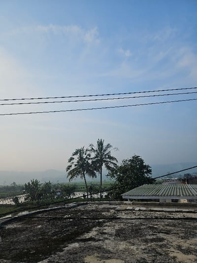 The image depicts a rural landscape observed from a weathered rooftop in Padajaya, Indonesia, under hazy sky conditions. The foreground features a flat, dark-stained concrete or tiled rooftop occupying the lower half of the frame. Three parallel black utility wires are stretched horizontally across the upper portion of the foreground. In the midground, beyond the rooftop, a body of water or flooded rice paddies is visible on the left, surrounded by dense green vegetation. Two tall palm trees stand centrally, with additional foliage from other trees on their right. A building with a light green corrugated roof is partially visible on the far right. The background consists of a pale blue sky with faint, wispy white clouds and distant, hazy hills. No individuals, specific actions, or interactions are present within the scene.