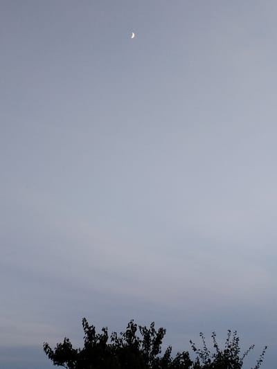 The image depicts a dusky sky with a sliver of the crescent moon visible near the top center. The lower portion of the frame is filled with the dark silhouette of trees, their branches and leaves creating an intricate pattern against the lighter sky. The overall scene suggests an outdoor setting, likely in a natural or semi-urban environment, at twilight. The provided context indicates the location as Saiyn Şapağatov, Kazakhstan.