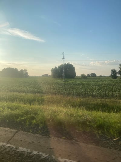 The image shows a rural landscape under a bright blue sky with wispy white clouds. The scene is dominated by a vast green field, likely a crop, stretching towards a line of trees in the distance. A solitary utility pole with power lines runs across the middle ground. The foreground is a blurred strip of grassy terrain and what appears to be a dirt or gravel path. Sunlight streams in from the left, casting a soft glow and lens flare across the image. No people or animals are visible, and there are no discernible landmarks that would suggest the specific location of Rubtsovsk, Russia.