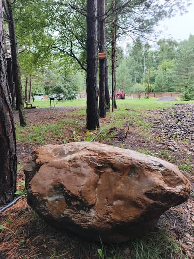 This image depicts an outdoor scene in what appears to be a rural or park-like setting. In the foreground, a large, reddish-brown boulder is prominently featured, resting on a bed of pine needles and grass. Behind the boulder, several tall trees with dark bark are visible, with one having a small wooden birdhouse attached to its trunk.

Further in the background, a grassy clearing stretches out. A red tractor is parked on the grass to the left of center, with a fence and a pile of grey material behind it. A white vehicle, a grill, and some benches are also present in the middle ground. The environment is lush with green foliage and trees, suggesting a temperate climate. The sky is overcast, casting a soft light over the scene. There are no people visible in the image. The location is identified as being in the city of Katun, Russia.