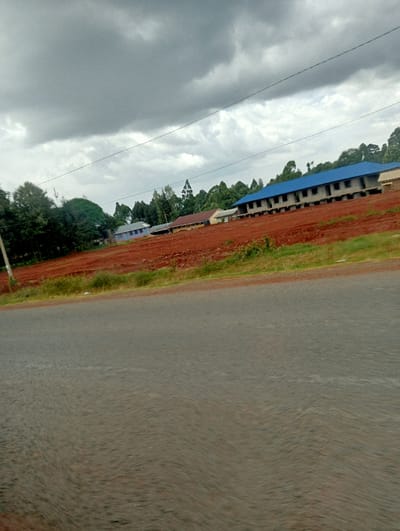 An outdoor wide shot captures a landscape under a heavily clouded, overcast sky, likely taken from a moving vehicle. In the foreground, a grey asphalt road appears slightly blurred. Immediately adjacent to the road, a strip of sparse green vegetation transitions into a large expanse of reddish-brown earth, possibly recently cleared or excavated.
In the middle ground, several buildings are visible. Most prominent is a long, multi-story structure with a distinctive blue roof, appearing to be under construction or newly built, with open window and door frames. To its left, further into the background, are smaller buildings with reddish-brown roofs, and one with a light blue wall. A dense line of green trees, including tall, slender varieties, forms a backdrop behind the buildings and extends across the left side of the image, suggesting a wooded area. Thin, dark utility lines stretch across the cloudy sky.
The scene suggests an area undergoing development or expansion, with new construction on cleared land. The predominant colors are the grey of the road and sky, the vibrant green of the trees, and the rich reddish-brown of the soil. There are no people visible, and no discernible text. The location context indicates this scene is in Karatina, Kenya.