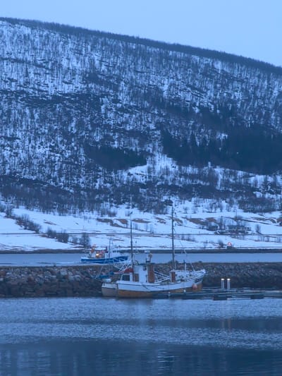 The image displays a winter maritime scene in Gibostad, Norway, at twilight or under overcast conditions. The foreground consists of dark, rippled water reflecting the light grey-blue sky.

In the mid-ground, a multi-masted wooden boat, predominantly white with a yellow-tan hull, is moored on the right side of the frame at a floating dock. A smaller white dinghy is attached to its port side. Two illuminated bollards are visible on the dock structure. A dark grey-brown rocky breakwater separates this mooring area from an inner waterway. Within this waterway, a blue fishing vessel with orange accents and illuminated cabin lights is underway, traveling from left to right and generating a small wake.

The far shoreline is snow-covered, featuring a cleared road, bare deciduous trees, and sparse vegetation. A small red-topped navigational aid or structure is visible on the distant right shore. The background is dominated by a large, steep mountain face, densely covered with dark, bare trees and intermittent patches of snow and exposed rock. No individuals are visible within the scene.