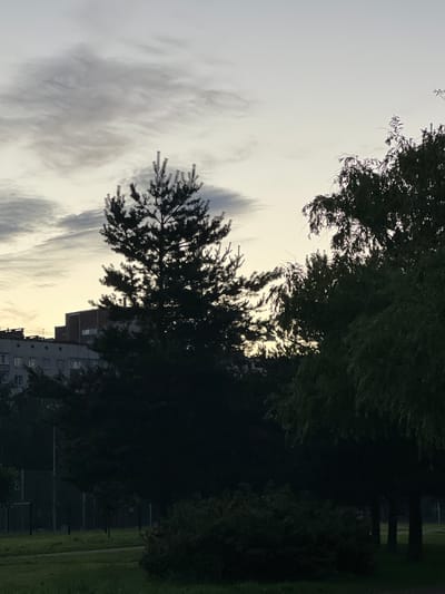 This image depicts a park-like setting in Borisova Griva, Russia, at what appears to be dusk or early dawn due to the soft, diffused light. Silhouetted against the pale sky are the branches of trees, some appearing as deciduous with delicate leaves and others as coniferous with a more rugged texture. The sky itself is filled with wispy, streaky clouds, suggesting a dynamic weather pattern.

In the middle ground, the dark mass of trees obscures much of the detail, but glimpses of buildings can be seen through the foliage. These buildings are multi-story, with visible windows, indicating an urban or suburban edge to the park. The overall impression is one of a tranquil, perhaps slightly overcast, late evening or early morning scene.

To the right of the frame, a section of a park or green space is visible, with a pathway and a fence. The grass appears green, and the fence suggests a boundary to a park area or perhaps a sports field. The lack of distinct human activity and the soft lighting contribute to a serene and contemplative mood. There is no visible text in the image.