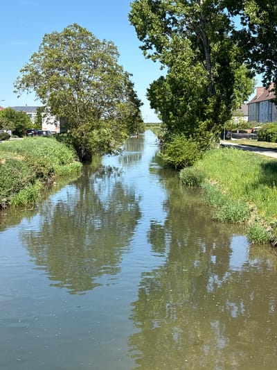 The image shows a canal lined with grassy banks and trees, possibly in Wiener Neustadt, Austria. The water surface reflects the trees and sky. Buildings are visible in the background. The scene appears calm and natural, typical of a canal-side environment. Cars, and a white box truck are parked near the canal. No people are readily apparent in the frame.