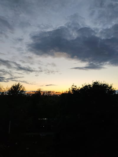 The image depicts a twilight scene with a dark silhouette of trees against a pale orange and grey sky. Dark, heavy clouds dominate the upper portion of the frame, with lighter streaks of cloud and clear sky visible near the horizon. The foreground is filled with dense, dark foliage, obscuring any ground details. The overall impression is that of a natural landscape at dusk.