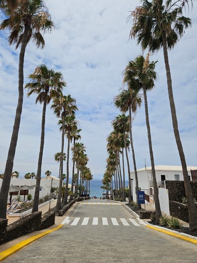 This is a ground-level, eye-level, full shot of a paved road lined with numerous palm trees on both sides. The road, paved with grey cobblestones, features a yellow painted curb on the left and a crosswalk with white stripes. In the distance, the blue ocean is visible under a cloudy sky. On the right side of the road, a white building with a dark stone wall in front of it is present. A dark blue sign with the word "BLUE" in white lettering is attached to the stone wall. On the left side of the road, another white building with thatched umbrellas and lounge chairs is visible. The environment suggests a tropical or coastal resort area within the city of Yaiza, Spain.