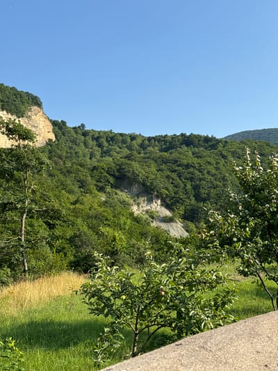 The image depicts a lush green hillside covered in dense trees under a clear blue sky. A light-colored cliff face is visible on the left side of the frame, partially obscured by foliage. In the foreground, there is a grassy field with a patch of dry, golden grass and a small tree bearing green fruit. A grey concrete structure runs along the bottom right of the image. The scene appears to be a natural landscape, possibly a park or mountainous region, with no people or man-made structures other than the foreground concrete. The location is identified as Khapil, Russia.