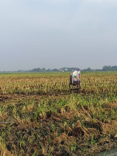 The image shows a field of brown, dry grass with green grass growing between the dry patches. A small, metallic, four-wheeled cart with a colorful object in the back sits in the middle of the field. The image was taken in Wonoayu, Indonesia, at latitude -7.412 and longitude 112.651. There are no people present in the image. The sky is a light blue. There are no clouds in the sky.