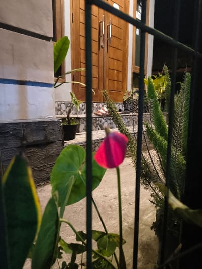 The image depicts a nighttime outdoor view in Tarqumiyah, Palestinian Territory, observed through a dark metal fence. In the immediate foreground, a bright pink flower with a green stem is prominently displayed, partially out of focus, alongside various green potted plants including broad-leafed species and taller, feathery plants. A concrete or paved pathway leads to a raised step, tiled with a grey and white pebble-like pattern. A pair of light-colored sandals are positioned on this step. The background reveals a double wooden door with vertical panels and horizontal silver-colored handles, serving as the entrance to a building. To the left of the door, a light-colored wall with a blue horizontal stripe and a darker, textured stone base is visible. The scene is illuminated by ambient or low artificial light, indicating a nocturnal setting. No individuals are present.