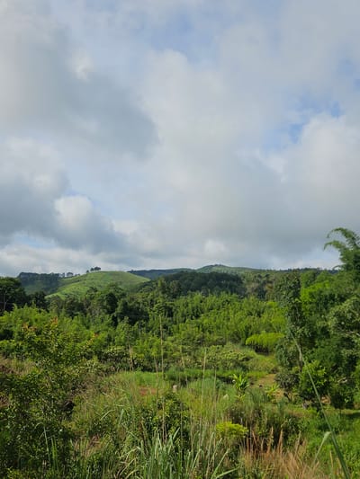 The image captures a lush, green landscape under a cloudy sky. Rolling hills covered in dense vegetation, including trees and bamboo, dominate the midground and background. The foreground is characterized by tall grasses and some smaller bushes. The sky is filled with a mixture of white and grey clouds, suggesting overcast conditions, with patches of blue sky visible. The scene appears to be a rural area, likely in Xayden, Laos, given the typical topography and vegetation found in such regions. There are no people or specific man-made structures visible in the image. The overall impression is one of natural, untamed beauty.