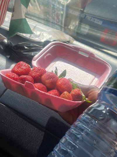 This image depicts the interior of a vehicle during daytime, in what is identified as Hoss, Nigeria. A dark-skinned hand holds a pink styrofoam container filled with approximately 12-15 ripe, red strawberries, some retaining green calyxes. An identical, empty pink styrofoam container is visible behind the one being held. A clear, ribbed plastic water bottle is partially visible in the lower right foreground. Dark, textured surfaces, consistent with a vehicle's dashboard or seat, form the immediate surrounding environment. Through a window in the background, an outdoor setting is visible, featuring a small flag displaying green and white vertical stripes, consistent with the Nigerian national flag, and blurred commercial signage with partially legible text such as "ECOP..." and "TULLANO THE KINGS."