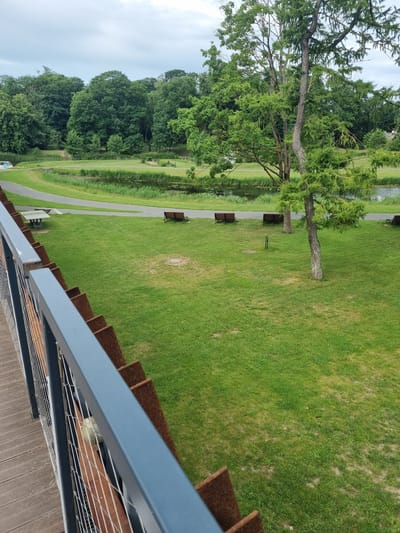 The image depicts a park setting in Kuršėnai, Lithuania. In the foreground, a wooden deck with a grey metal railing with wire mesh is visible. Beyond the railing, a large expanse of green grass stretches out, dotted with small yellow wildflowers. A paved pathway curves through the grass, leading towards a body of water. Along the pathway, several wooden park benches are placed at intervals. A picnic table with benches is also visible on the grass. In the middle ground, a pond or small lake is surrounded by reeds and aquatic plants, and further beyond, a dense line of mature trees forms a backdrop. A tall tree with wispy foliage stands prominently on the right side of the frame. The sky is overcast with grey clouds. The scene appears tranquil and is devoid of any visible people.
