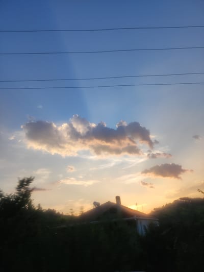 The image captures a serene rural landscape at dusk. The sky is a gradient of deep blue at the top, transitioning to lighter hues and a warm orange glow near the horizon, indicating the sun is setting. Wispy clouds are illuminated by the fading sunlight, casting soft shadows and adding depth to the sky. Several power lines stretch horizontally across the upper portion of the frame, suggesting the presence of infrastructure in the otherwise natural setting.
In the middle ground, a dimly lit house with a tiled roof is partially visible, nestled amidst dense, dark green foliage. A single, white, animal figure, possibly a sheep or goat, stands on the rooftop, adding an unexpected and curious element to the scene. The surrounding trees and vegetation are silhouetted against the brighter sky, creating a natural border around the human dwelling.
The overall mood is peaceful and tranquil, evoking a sense of quietude at the end of the day. The soft lighting and the silhouette of the house and trees suggest a rural or semi-rural location, consistent with the provided location context of Trikala, Greece. The image seems to be taken from a slightly elevated position, possibly from a moving vehicle given the slight motion blur on the trees on the left. There is no visible text in the image.