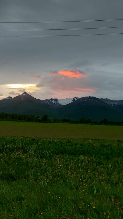 The image captures a serene landscape scene with a focus on natural elements. The foreground is dominated by a vibrant green field, lush with grass and dotted with small yellow wildflowers. Behind the field, a line of dark green trees forms a dense border against the foothills of a mountain range.
The mountains themselves are majestic, with their upper slopes covered in patches of white snow, suggesting a cooler climate or higher altitude. The sky above is a mix of dramatic grays and blues, with a striking patch of pinkish-orange cloud illuminated by the setting sun. Three thin, dark, horizontal lines, possibly power lines, are visible against the sky in the upper portion of the image. The overall impression is one of natural beauty and tranquility at dusk.